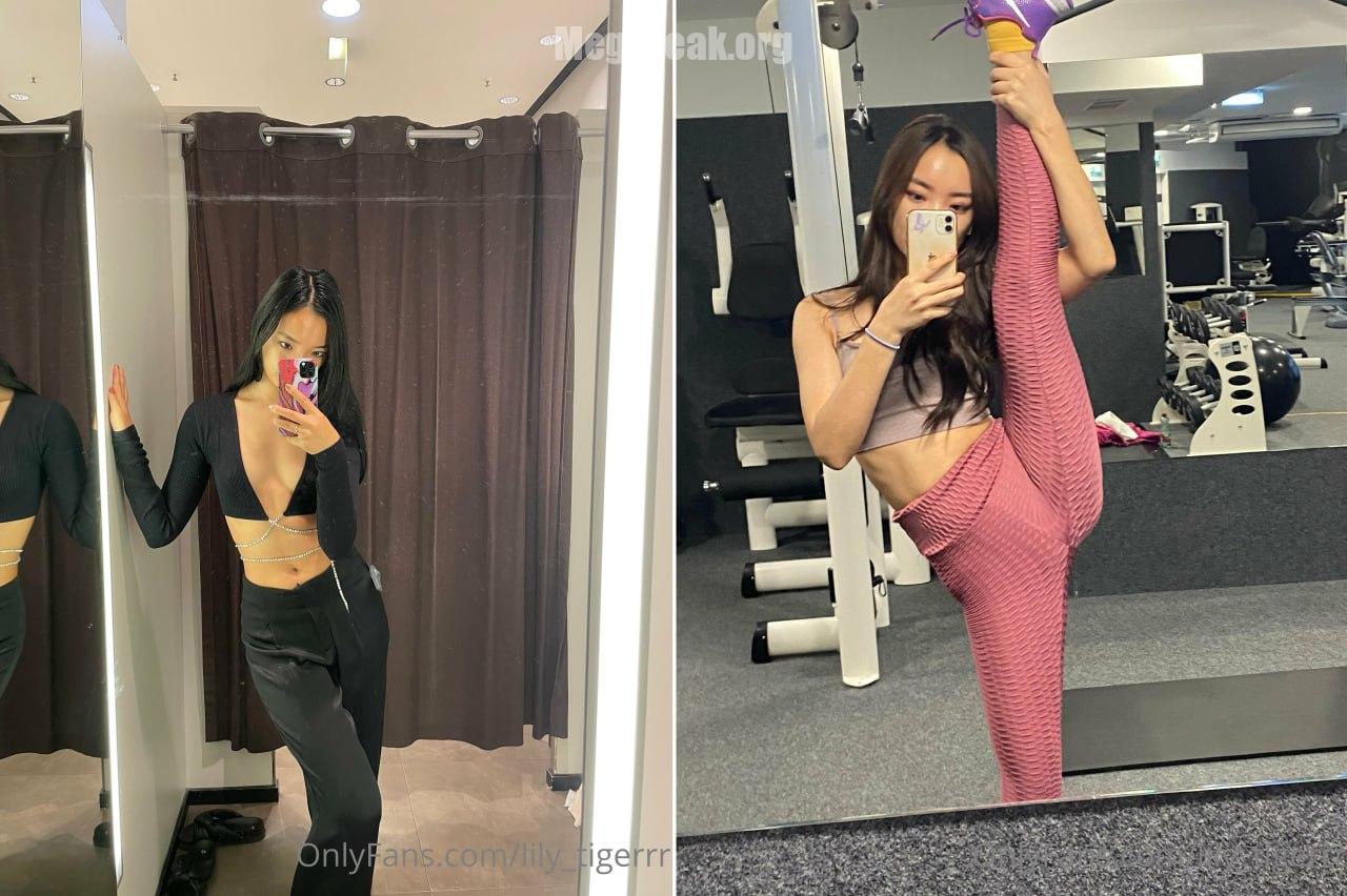 LilyTigerr