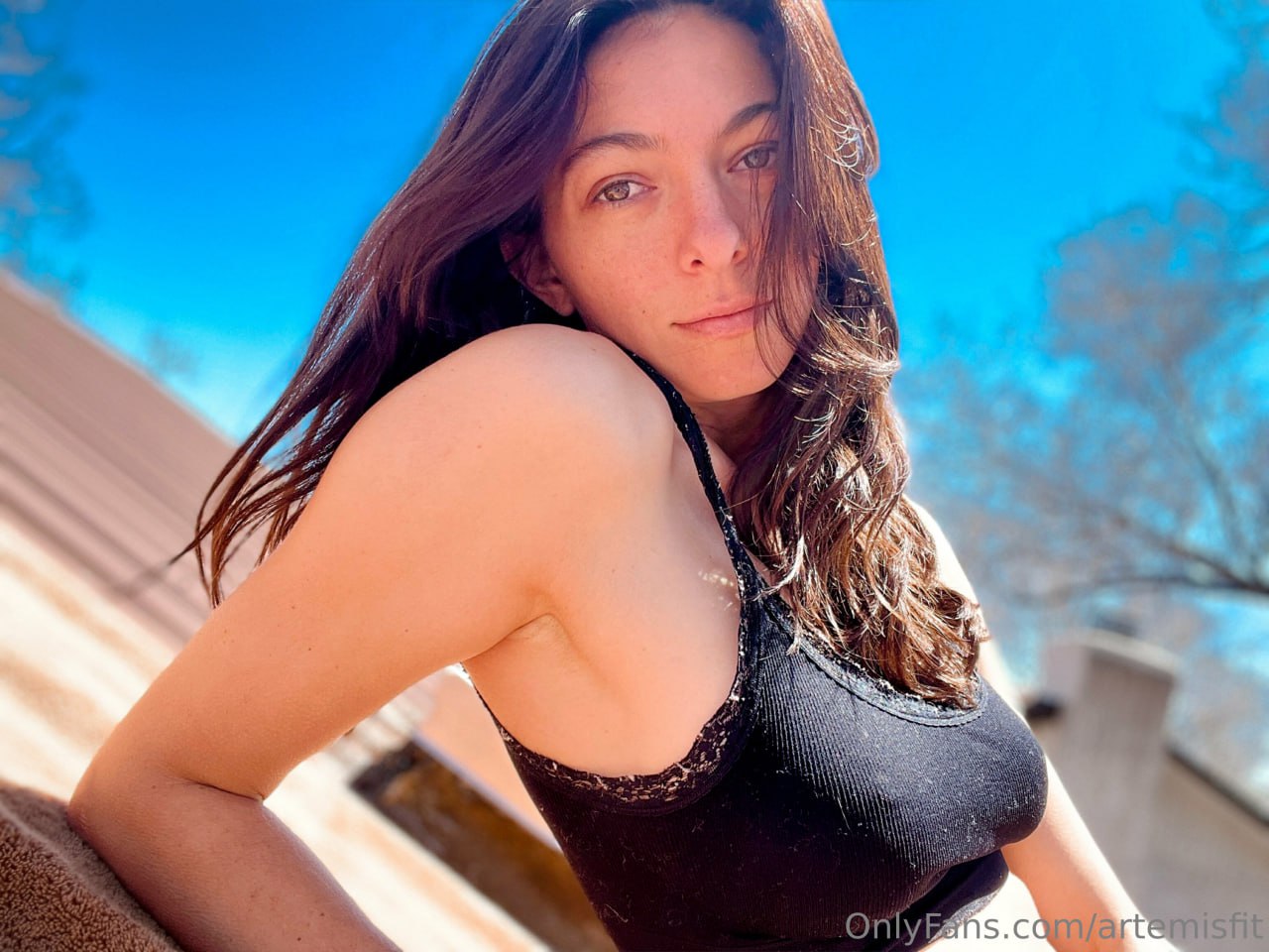 artemisfit